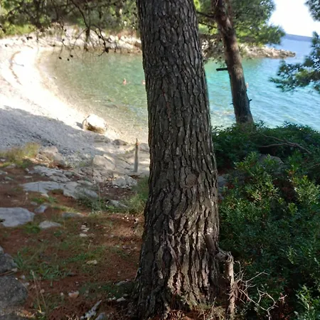 Iva Rab Apartament *